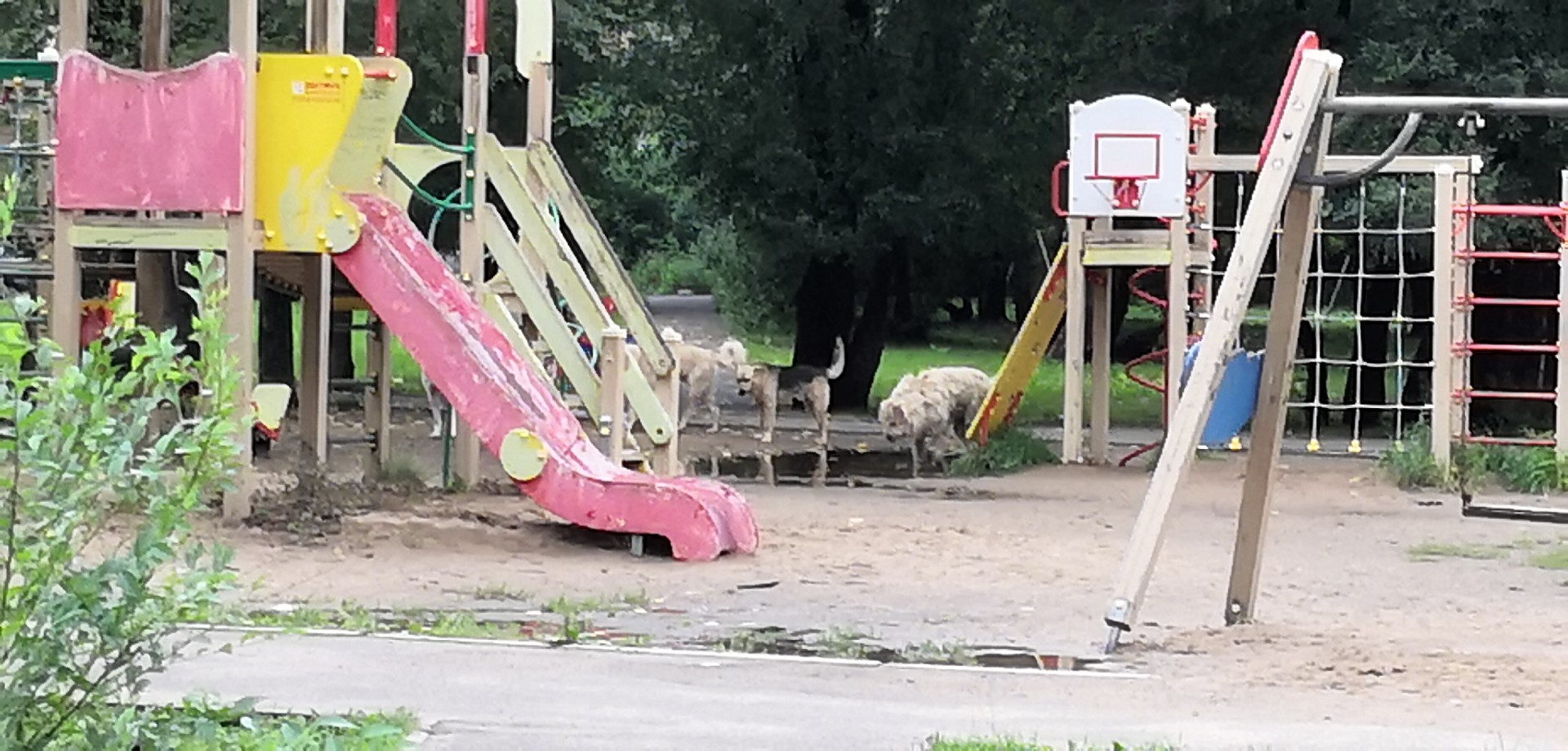 Во дворе гуляют 14 человек. На детской площадке. Детский двор. Дети на площадке. Детская площадка дворовая.