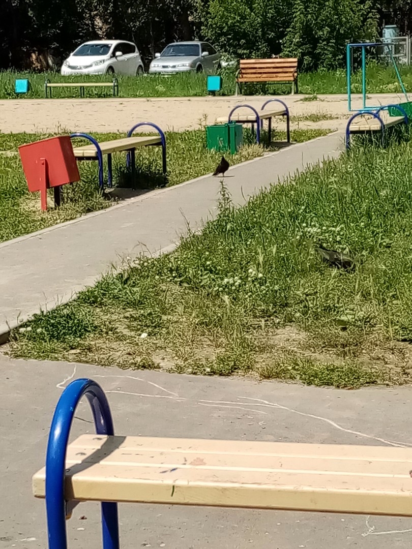 Наш Комсомольск - Бардак во дворе. Не убирают мусор в мусорных урнах и под  ними на детской площадке